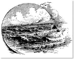 View of the surf at Seal Rocks illustrated by Carl Dahlgren (1841-1920)